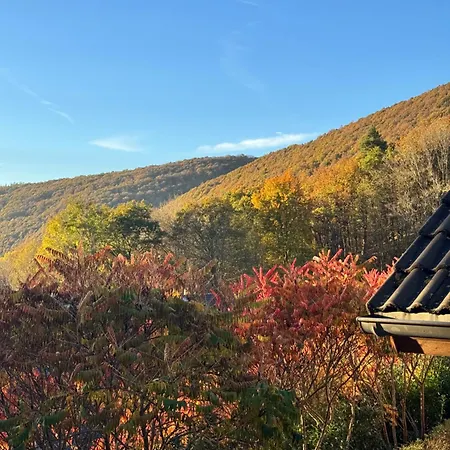 Eifelurlaub Luchs Mit Terrasse דירה שליידן