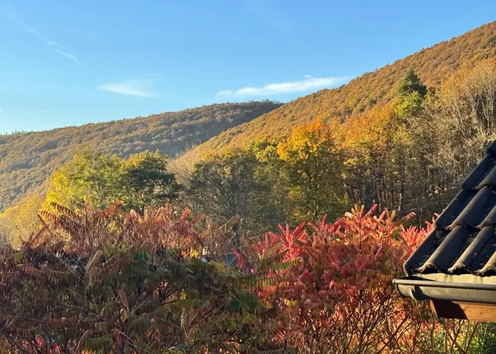 Eifelurlaub Luchs Mit Terrasse Апартаменты Шляйден